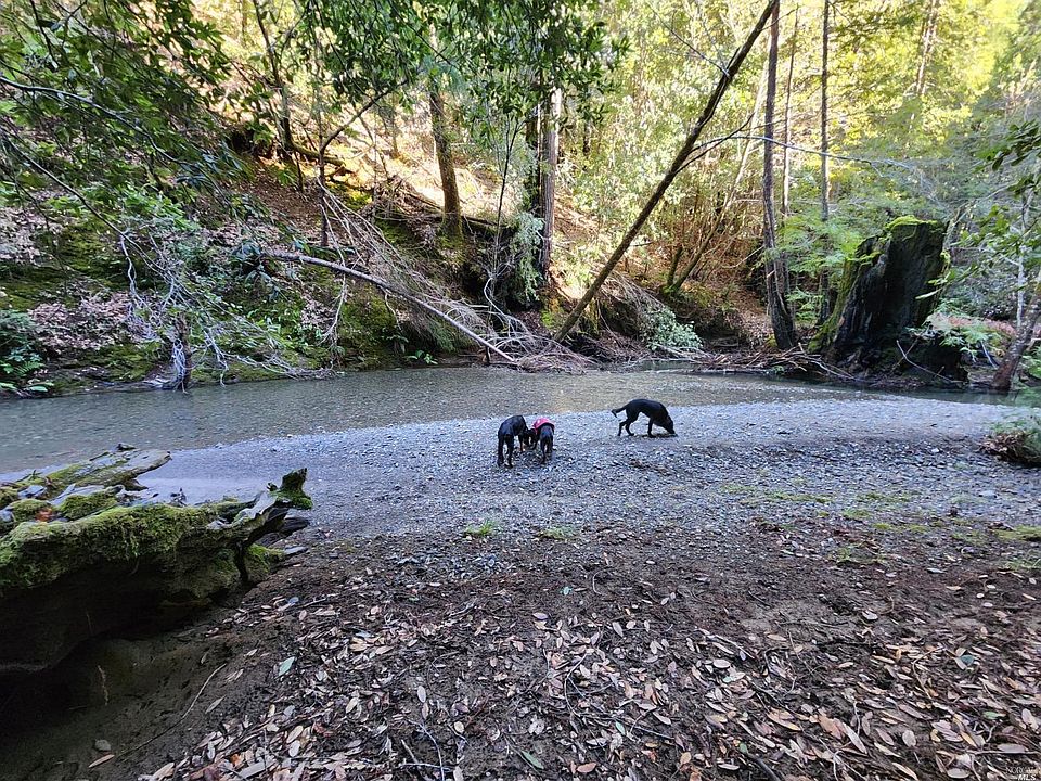 21530 Fort Ross Rd, Cazadero, CA 95421 MLS 323017409 Zillow