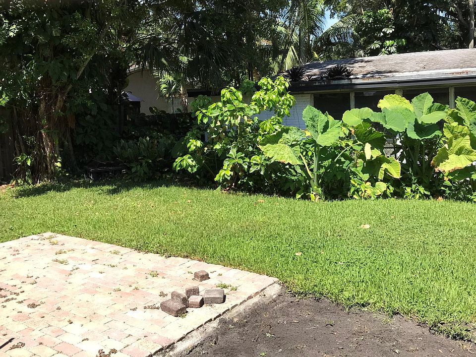 Backyard.