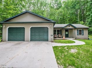 8347 Palmer Rd, Belding, MI 48809