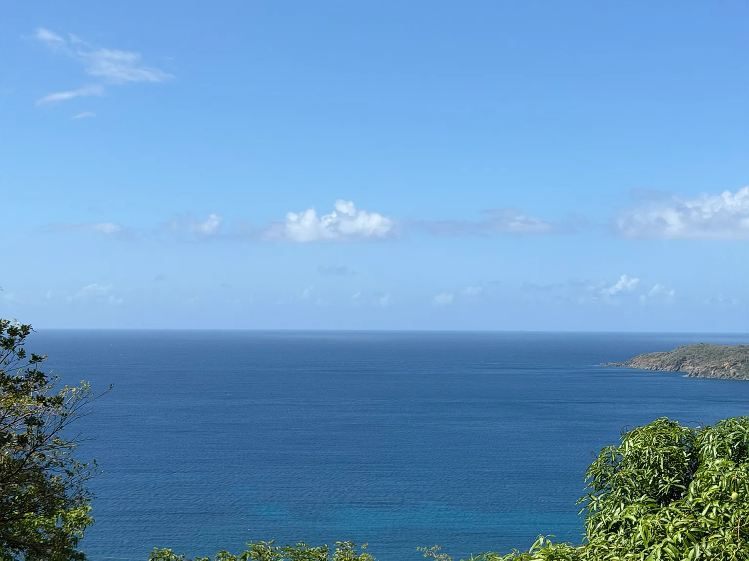 1 bed, $1,800 — Photo 2
