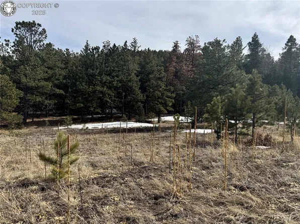 Tbd Rainbow Ridge Rd, Canon City, CO 81212