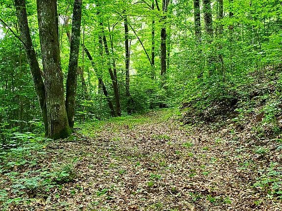 3rd image of 9 Hemlock Falls Dr