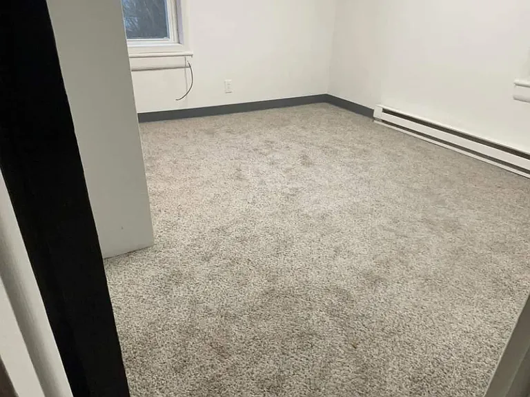 125 Mabel Ln — Photo 10