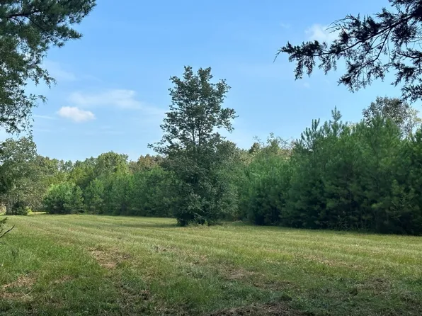 491 Holly Grove Rd Tract 3, Lascassas, TN 37085