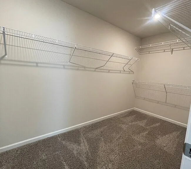 5472 Plain Field Ln — Photo 26