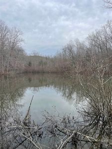 0 County Road 10, Hamilton, AL, 35570