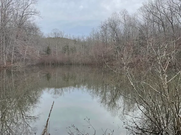 0 County Road 10, Hamilton, AL 35570