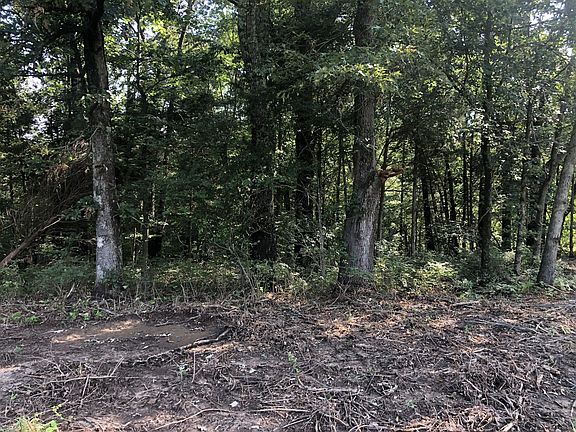 4th image of 0 Highway 49 W Lot 5