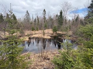 27590 S Raber Rd, Goetzville, MI 49736