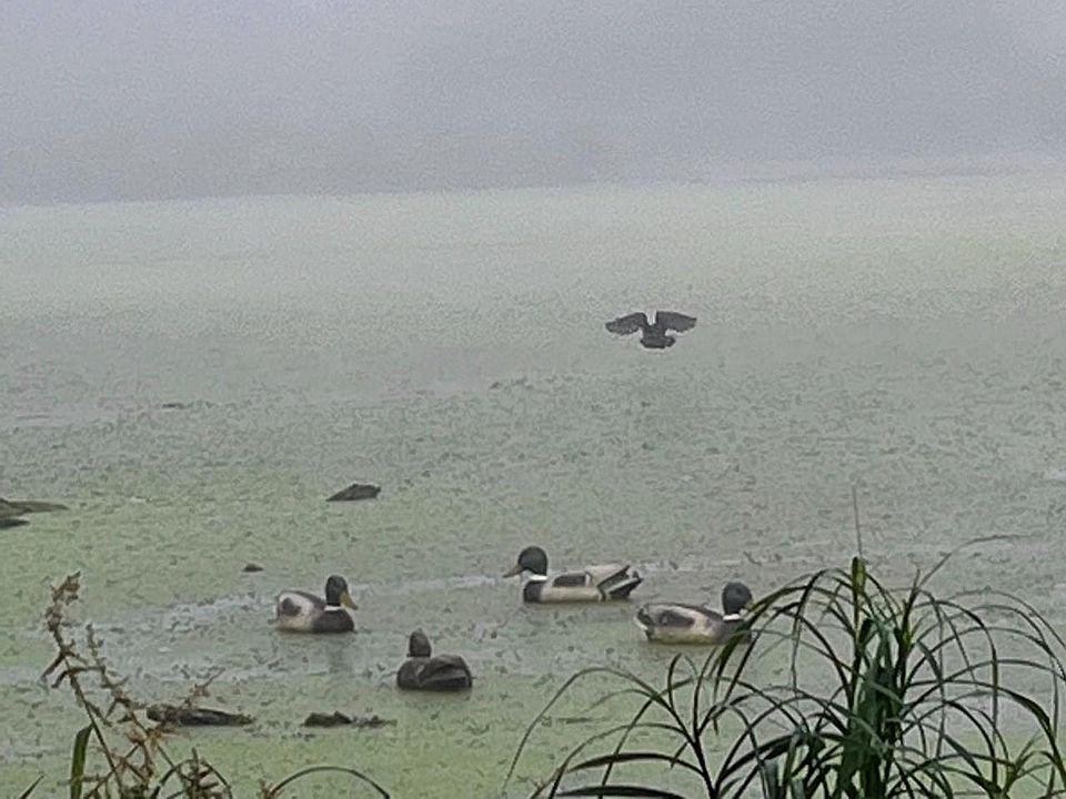 0 State Highway 33, Portage, WI 53901 MLS 1929727 Zillow