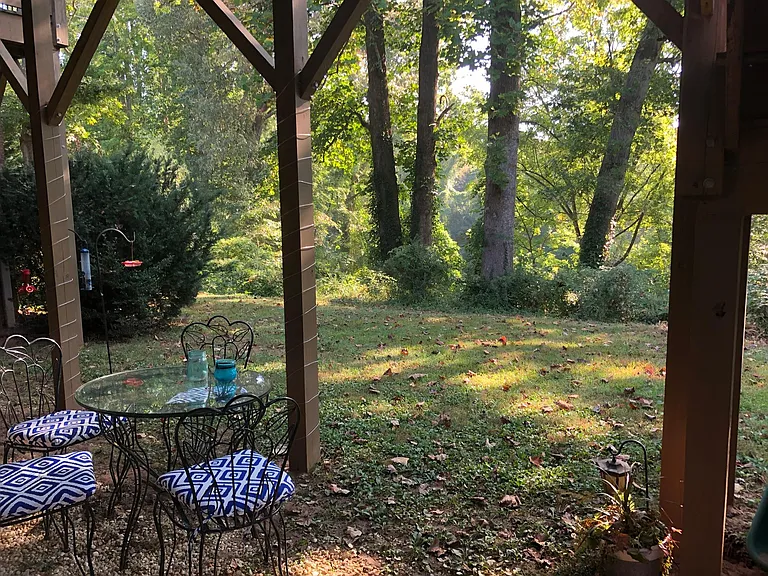 Back yard area.