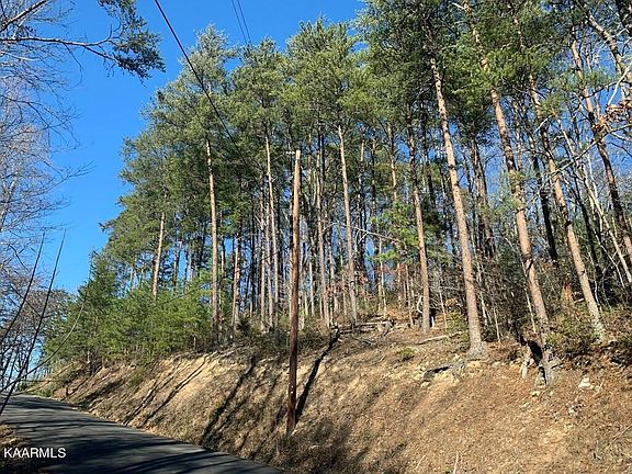 2nd image of Dogwood Loop Dr