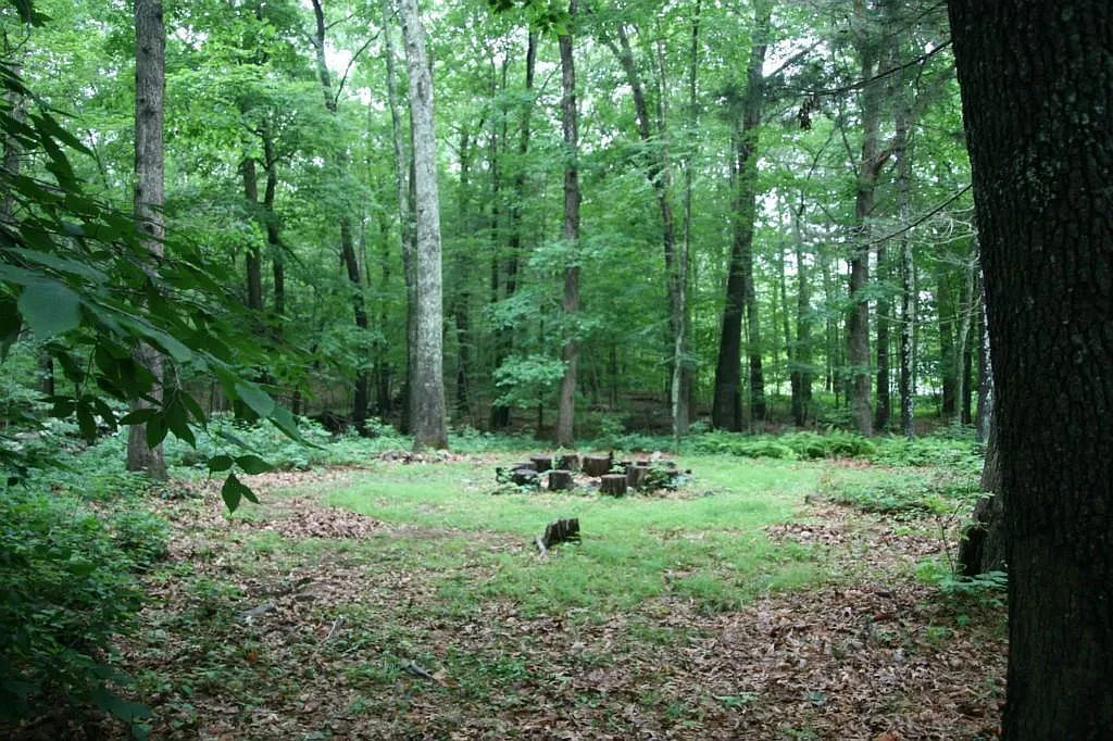 3 bed, 1818 sqft, $3,300 — Photo 4