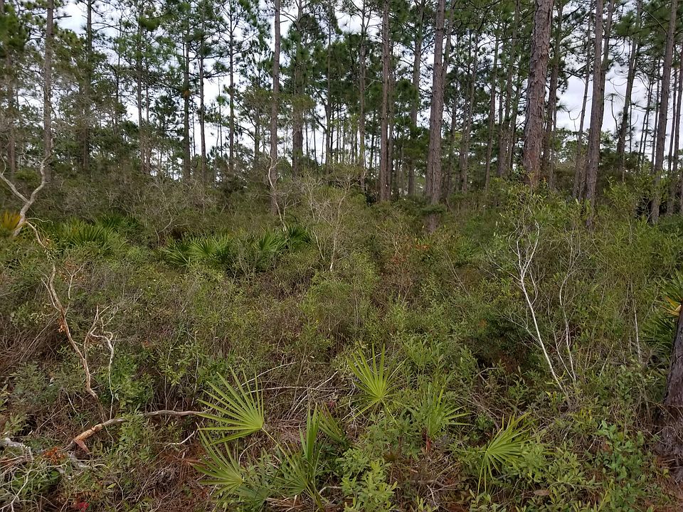 1st image of LOT 11 Bonita Ct Lot 11
