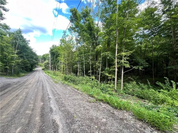 LOT 1 S Greenbush Rd #9, Erin, NY 14838