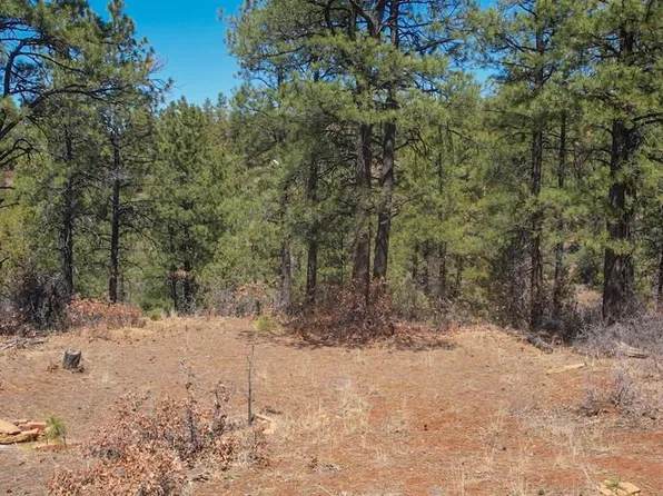 149 Engineer Point, Pagosa Springs, CO 81147