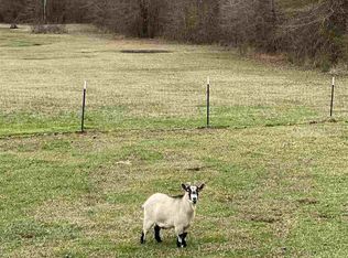 784 Clara Foote Rd, Braxton, MS 39044