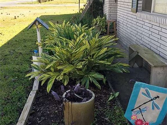 3rd image of 311 Beaufort St