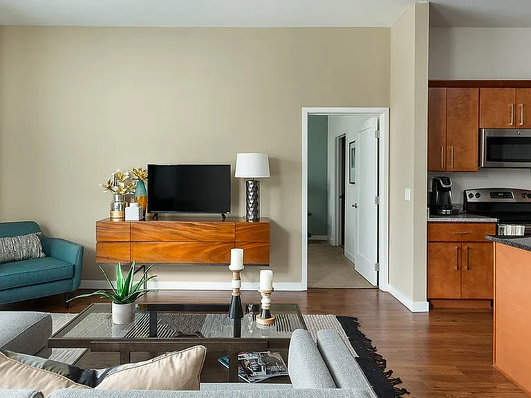 Open Concept Living Spaces