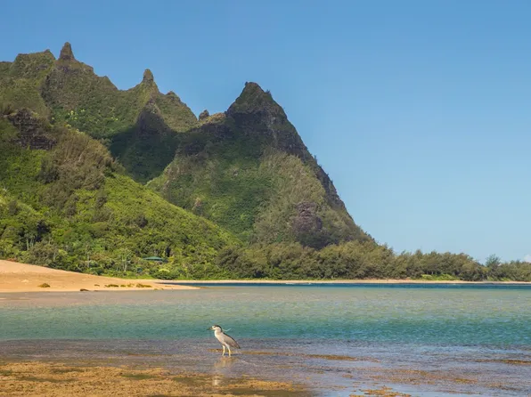 5-7544 Kuhio Hwy #B, Hanalei, HI 96714