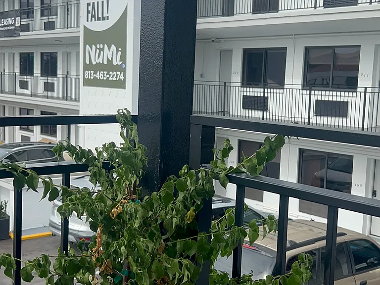 NuMi Living Tampa — Photo 10