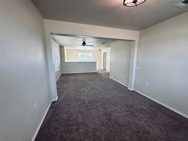 7102 Hibiscus Fls — Photo 15