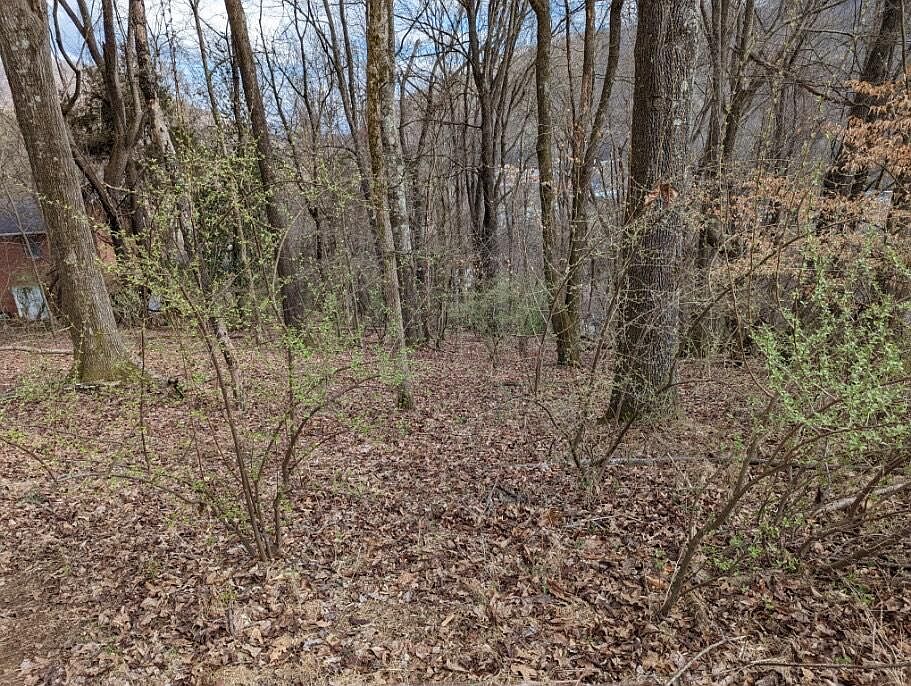 1st image of Quillen Dr