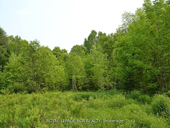 4th image of 1527 Madill Rd