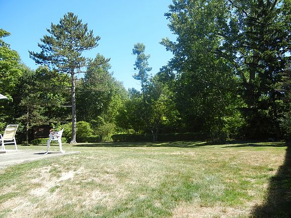 Backyard w/ Pond