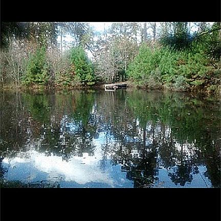 5th image of 123 County Road 343