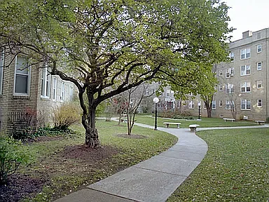 7252 Walnut St #A3 — Photo 7