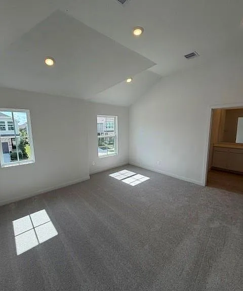 12618 Blue Catfish Ln — Photo 19