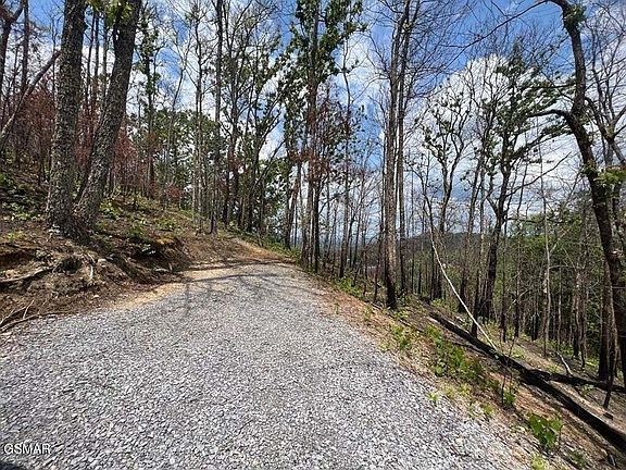 4th image of 2518 Hatcher Mountain Rd
