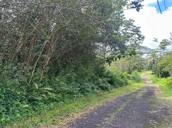 Lanai Rd Lot 382, Pahoa, HI 96778
