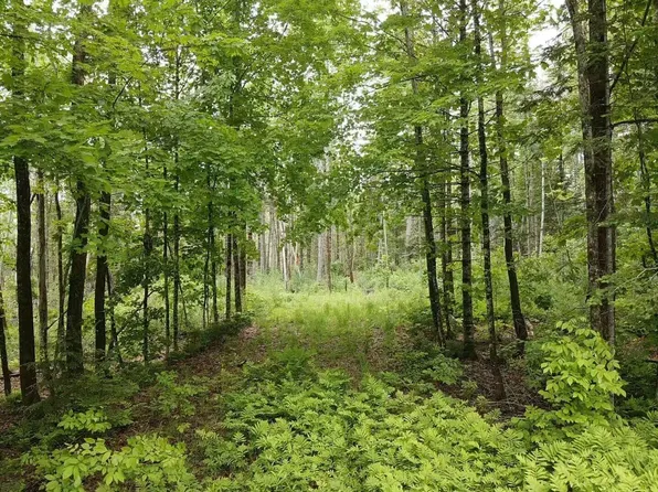 Lot 10 North Road, Medford, ME 04463