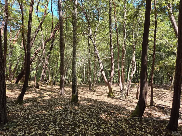 26710 Poppy Drive, Willits, CA 95490