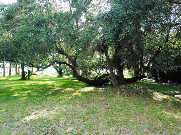4th image of 10152 Heckscher Dr