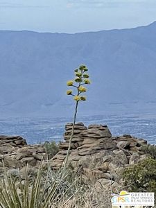 0 Star Shadow Rd, Mountain Center, CA, 92561