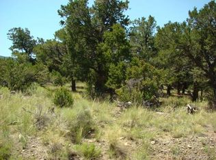 116 Deer Run, Mosca, CO 81146