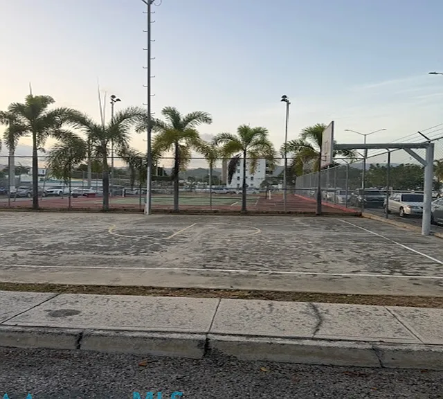 Cll Miguel Pou Boulevard #402 — Photo 19