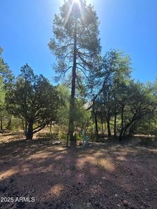 2511 E PINE ISLAND Lane #39, Payson, AZ, 85541