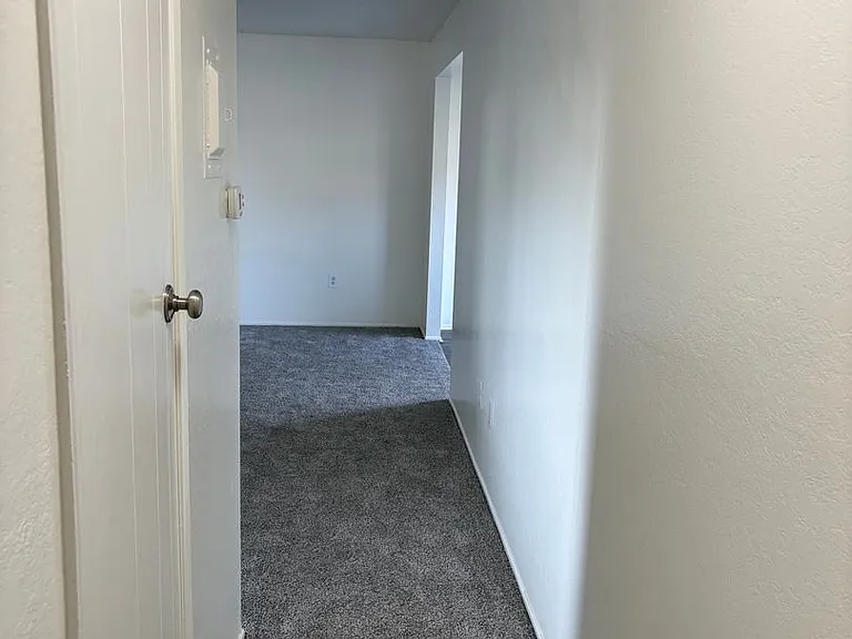 saf2229 — Photo 17