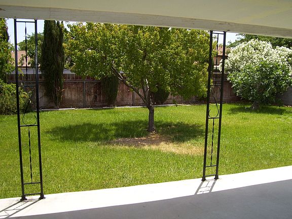 Large backyard w/ cvd patio + grass + fruit trees