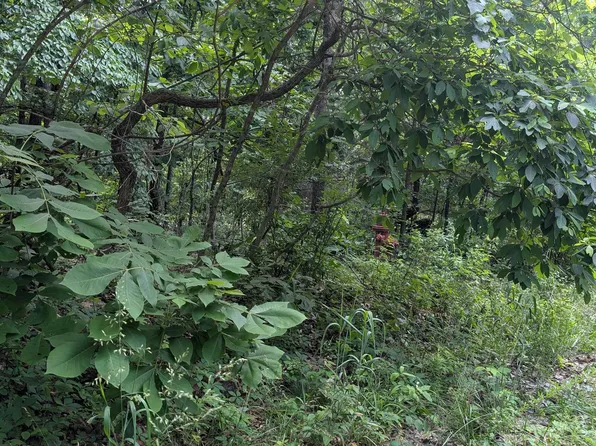 201 Cinderella St, Horseshoe Bend, AR 72512