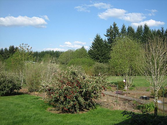 5th image of 8703 NE 339th St