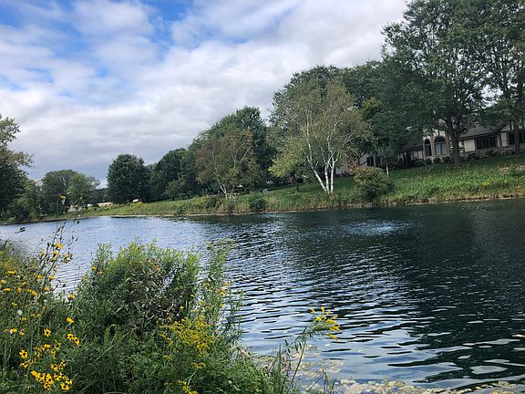 pond behind condo