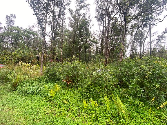 4th image of 417 Aloha Rd