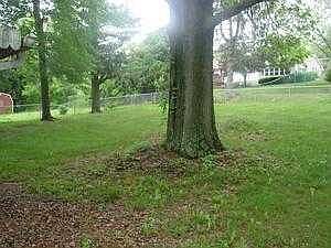 rear yard