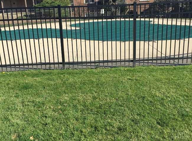 Swimming pool in complex