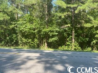 Tbd Highway 701 S, Conway, SC 29527